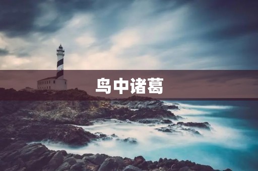 鸟中诸葛:一只普通鸟的非凡智慧