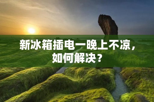新冰箱插电一晚上不凉，如何解决？