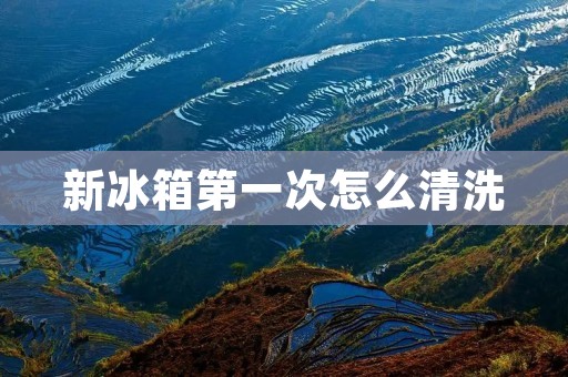 新冰箱第一次怎么清洗：详细步骤及注意事项