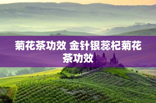 菊花茶功效 金针银蕊杞菊花茶功效