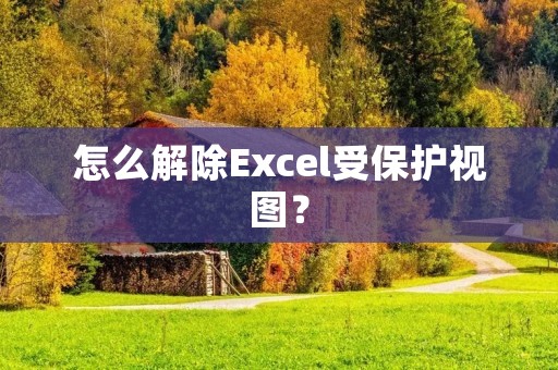 怎么解除Excel受保护视图?