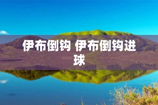 伊布倒钩 伊布倒钩进球 伊布倒钩 伊布倒钩进球