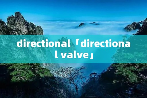 directional「directional valve」