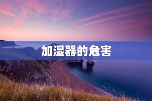 加湿器的危害:保持湿度的同时需警惕健康隐患