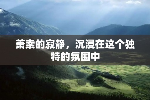 萧索的寂静，沉浸在这个独特的氛围中
