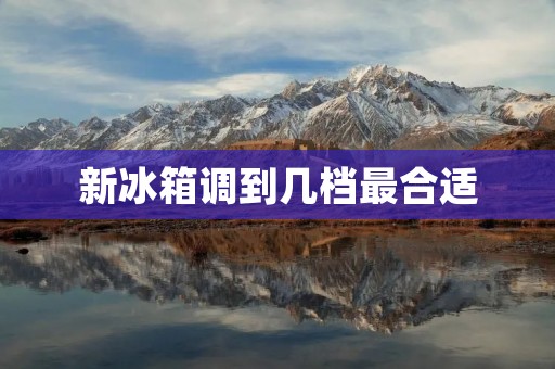 新冰箱调到几档最合适：为您提供最佳的冷藏体验