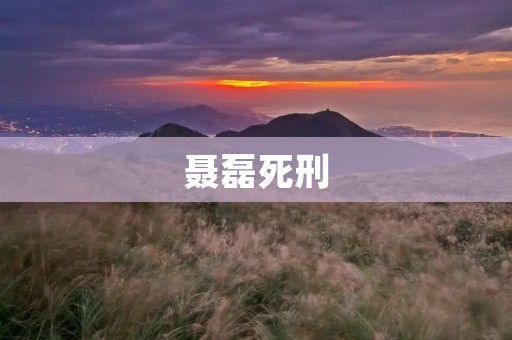聂磊死刑:探讨刑罚执行与人权保护的平衡