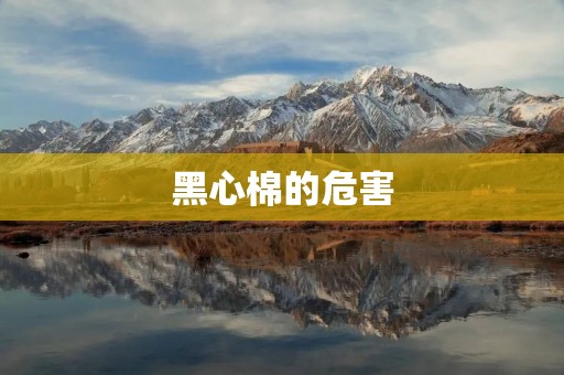 黑心棉的危害:揭示背后的丑陋真相