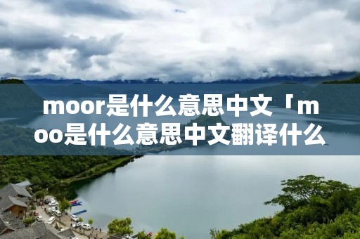 moor是什么意思中文「moo是什么意思中文翻译什么意思」