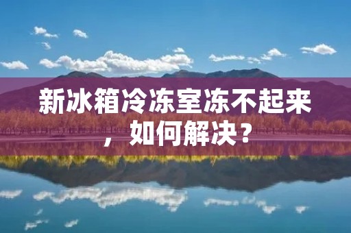 新冰箱冷冻室冻不起来，如何解决？