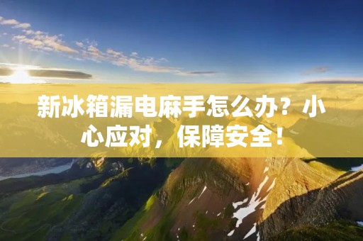新冰箱漏电麻手怎么办？小心应对，保障安全！