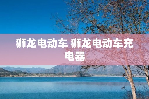 狮龙电动车 狮龙电动车充电器