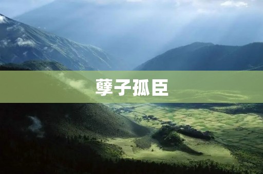孽子孤臣:命运的纠缠与孤独的抗争