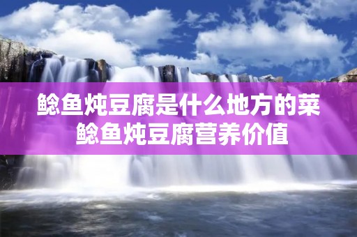 鲶鱼炖豆腐是什么地方的菜 鲶鱼炖豆腐营养价值