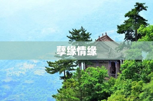 孽缘情缘:命中注定的纠缠缘起