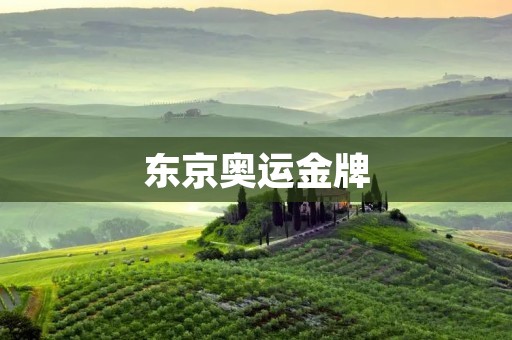 东京奥运金牌:荣耀与奋斗的象征 东京奥运金牌:荣耀与奋斗的象征