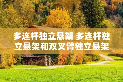 多连杆独立悬架 多连杆独立悬架和双叉臂独立悬架哪个贵 多连杆独立悬架 多连杆独立悬架和双叉臂独立悬架哪个贵
