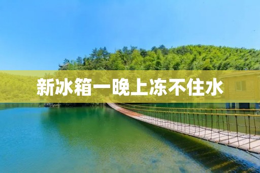 新冰箱一晚上冻不住水