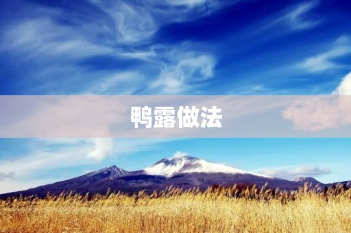 鸭露做法:传统美味,醇香诱人 鸭露做法:传统美味,醇香诱人