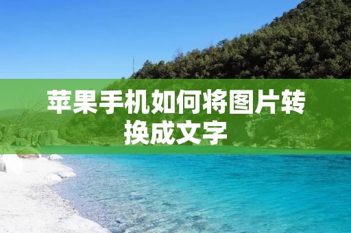 苹果手机如何将图片转换成文字