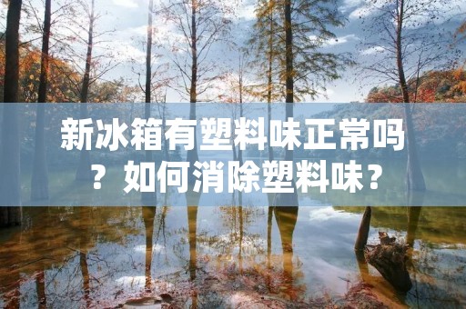 新冰箱有塑料味正常吗？如何消除塑料味？