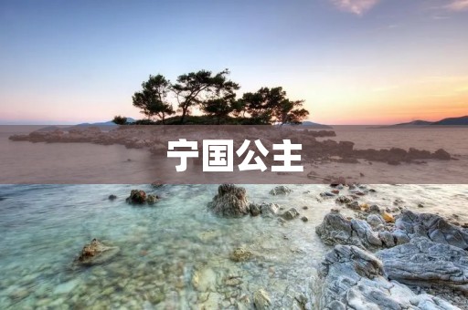 宁国公主:一位卓越的历史女性
