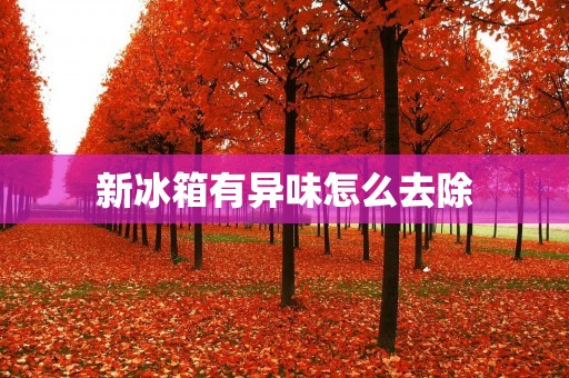 新冰箱有异味怎么去除