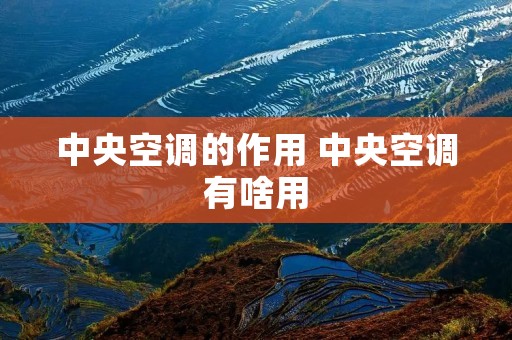 中央空调的作用 中央空调有啥用