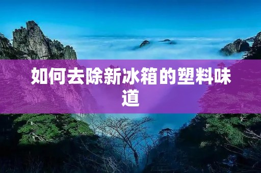 如何去除新冰箱的塑料味道
