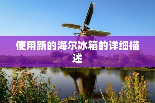 使用新的海尔冰箱的详细描述