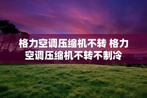 格力空调压缩机不转 格力空调压缩机不转不制冷