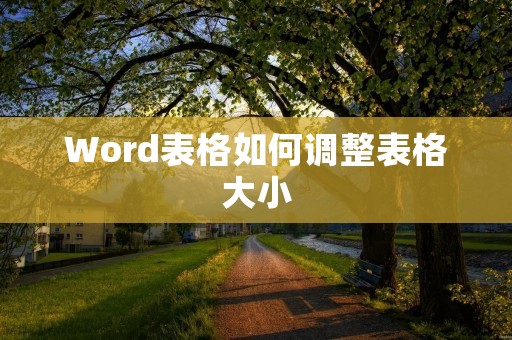 Word表格如何调整表格大小