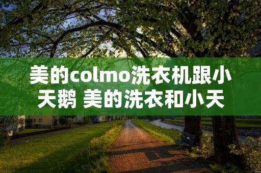 美的colmo洗衣机跟小天鹅 美的洗衣和小天鹅