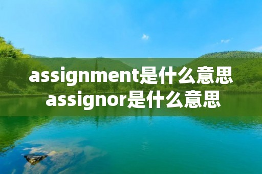 assignment是什么意思 assignor是什么意思 assignment是什么意思 assignor是什么意思