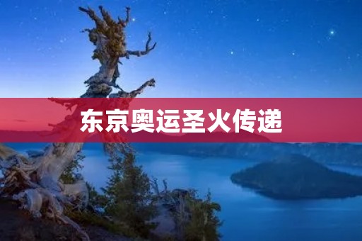 东京奥运圣火传递:点燃**,传递和平 东京奥运圣火传递:点燃**,传递和平