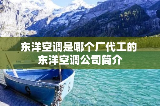 东洋空调是哪个厂代工的 东洋空调公司简介 东洋空调是哪个厂代工的 东洋空调公司简介