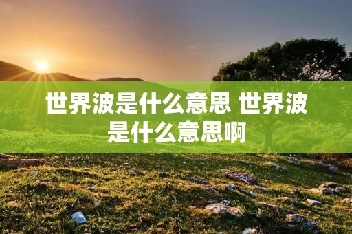 世界波是什么意思 世界波是什么意思啊