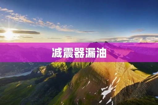 减震器漏油：原因、影响与解决办法