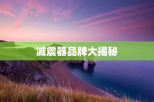 减震器品牌大揭秘：质量与创新引领行业发展
