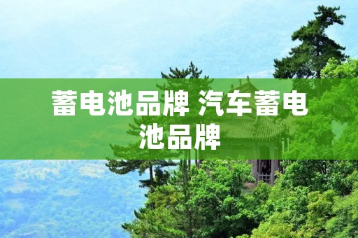 蓄电池品牌 汽车蓄电池品牌 蓄电池品牌 汽车蓄电池品牌