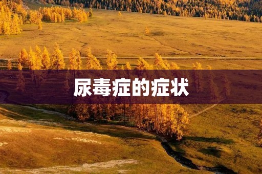 尿毒症的症状