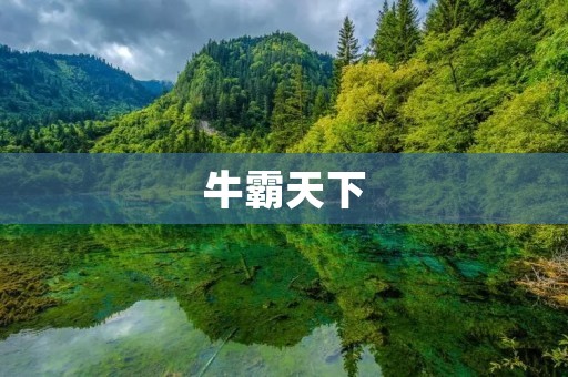 牛霸天下:挑战极限,征服世界的力量