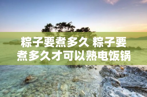 粽子要煮多久 粽子要煮多久才可以熟电饭锅