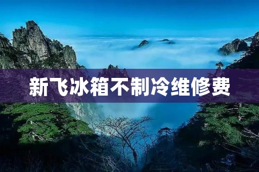 新飞冰箱不制冷维修费：原因与解决方法