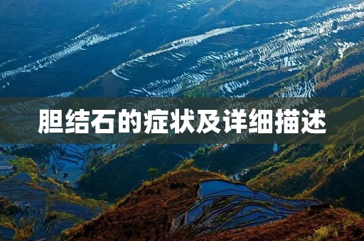 胆结石的症状及详细描述