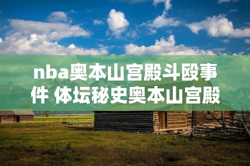 nba奥本山宫殿斗殴事件 体坛秘史奥本山宫殿斗殴