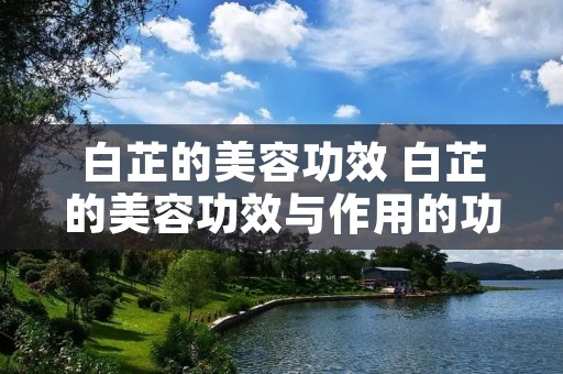 白芷的美容功效 白芷的美容功效与作用的功能 白芷的美容功效 白芷的美容功效与作用的功能