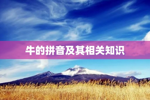 牛的拼音及其相关知识
