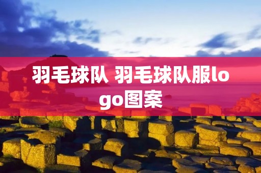 羽毛球队 羽毛球队服logo图案
