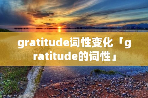 gratitude词性变化「gratitude的词性」
